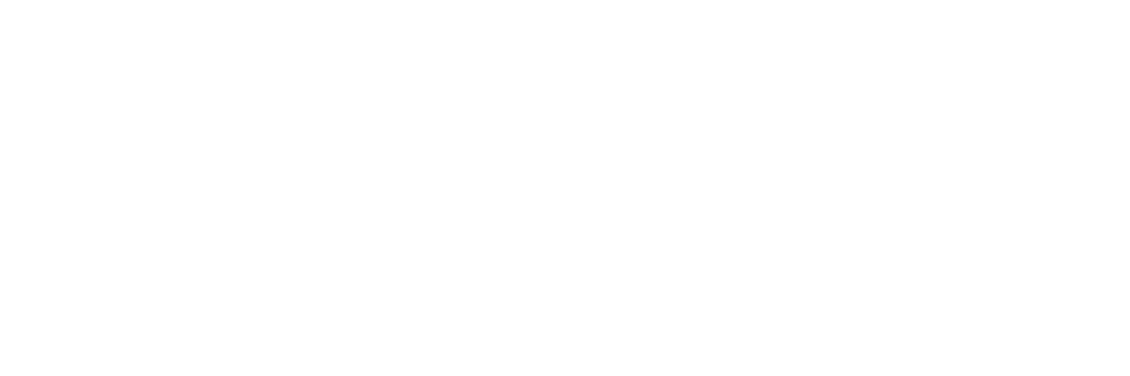 CIR-1-1024x341-1.png